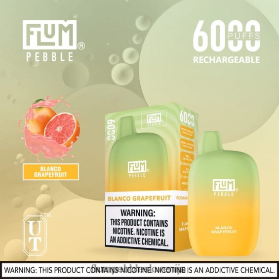 FLUM PEBBLES 6000 vpihov | Flum Pebble Vape Ingredients 0F820010 bela grenivka