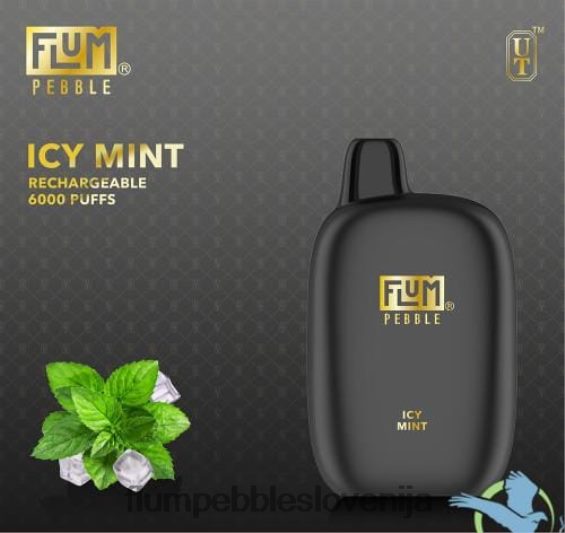 FLUM PEBBLES 6000 vpihov | Flum Pebble Vape Price 0F820049 ledena meta